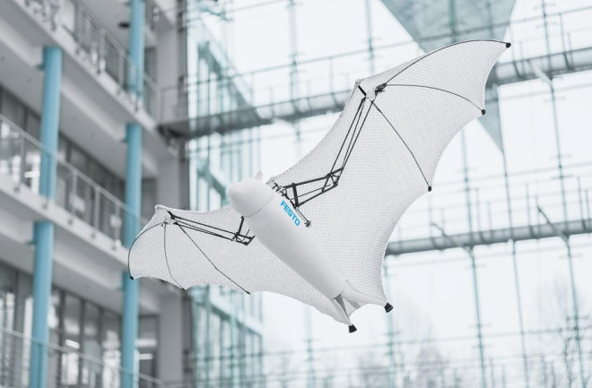 00069-bionicflyingfox-1532x900px-1024x602.jpg