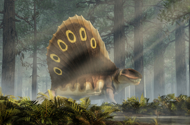 Dimetrodon