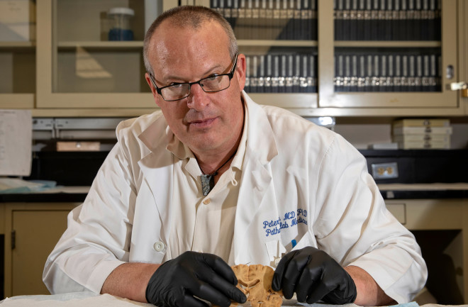 Dementia Neuropathologist, Peter-Nelson