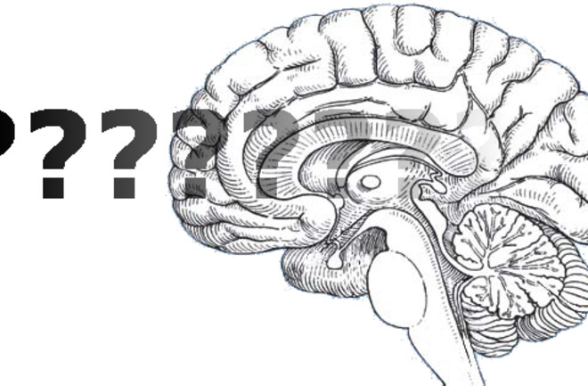 unsolved brain